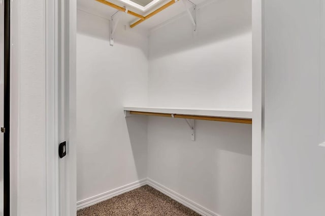 spacious closet featuring carpet floors