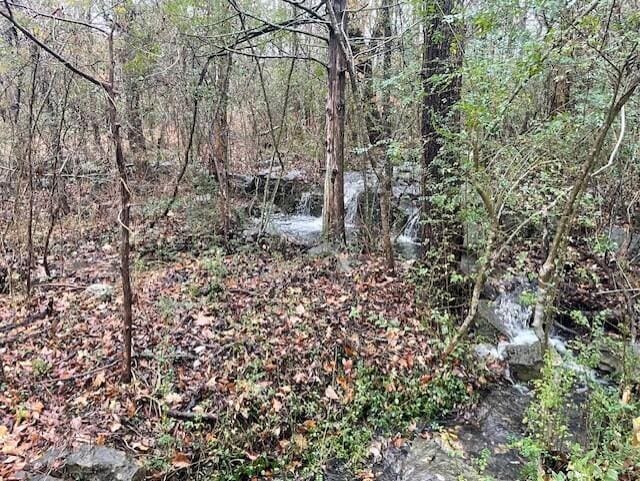 20 Redbud Ln, Kimberling City, MO 65686 - photo 2