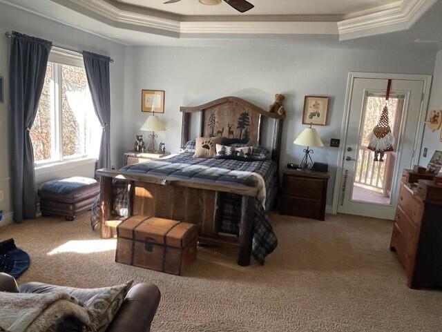 carpeted bedroom featuring ceiling fan, crown molding, access to outside, and a tray ceiling