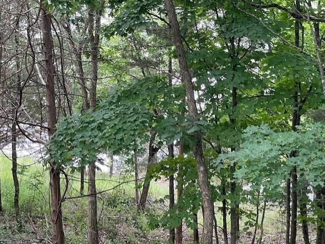20 Redbud Ln, Kimberling City, MO 65686 - photo 8