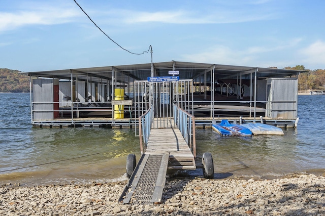 dock area with a water view