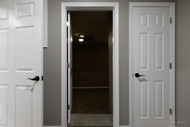 hallway featuring carpet flooring