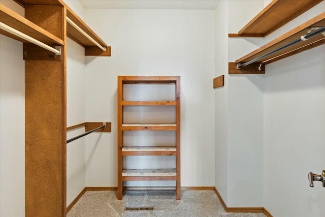 walk in closet featuring light carpet