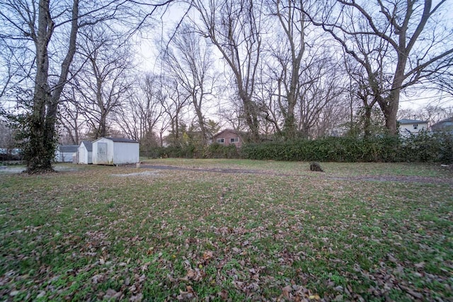 view of yard with a shed