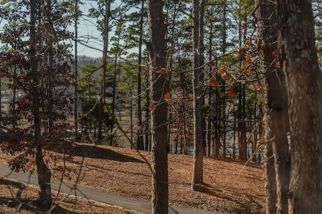 view of landscape