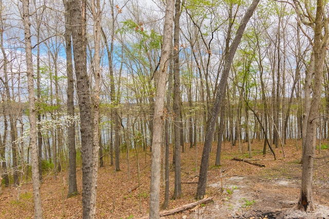 27014 Pine Bluff Ln, Golden, MO 65658 - photo 36