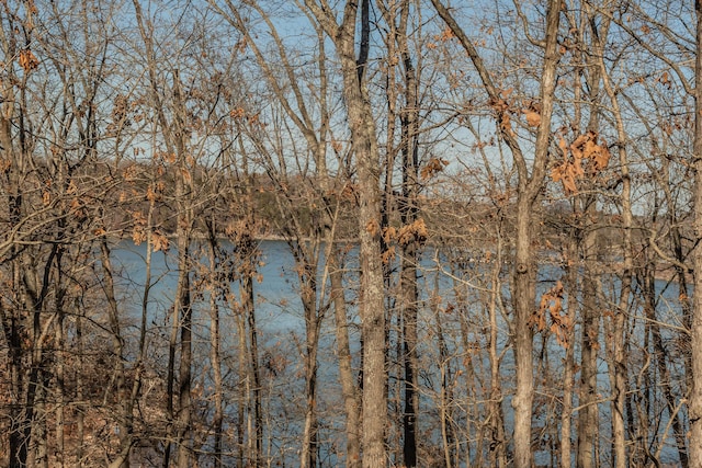 27014 Pine Bluff Ln, Golden, MO 65658 - photo 39