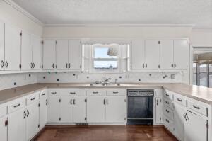 9800 Red Spring Rd, Mountain Grove, MO 65711 - kitchen with dishwasher, healthy amount of natural light, ornamental molding, white cabinets, and light countertops