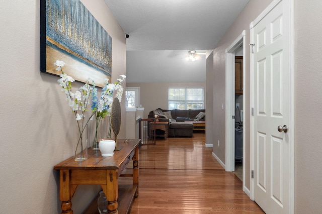 hall with hardwood / wood-style floors