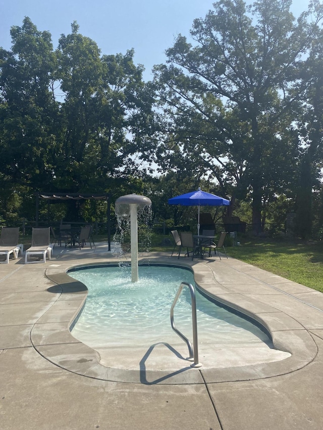 view of pool featuring a patio area