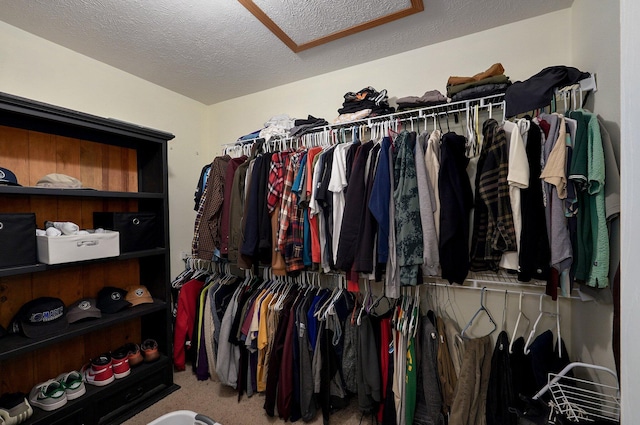 walk in closet with carpet floors