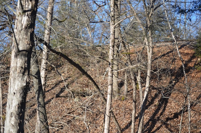 000 Baldknobber Dr, Reeds Spring, MO 65737