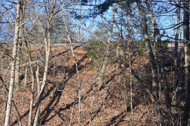 000 Baldknobber Dr, Reeds Spring, MO 65737