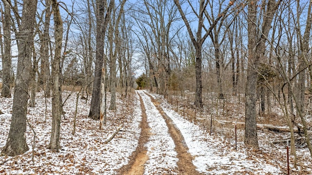 view of snow covered land