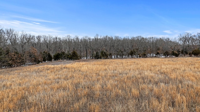 view of local wilderness with a rural view