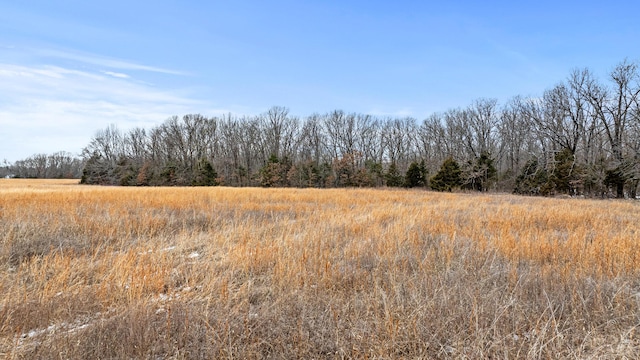 view of local wilderness with a rural view