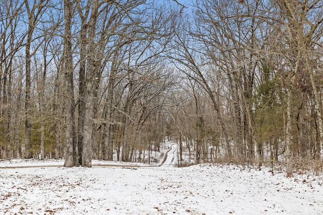 view of snow covered land