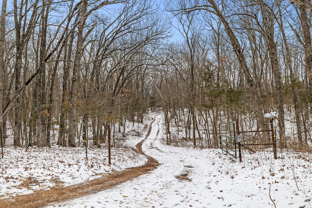 view of snowy landscape