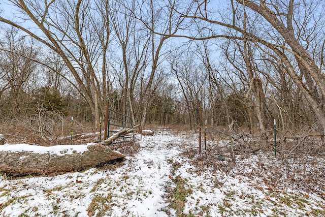 view of snowy landscape