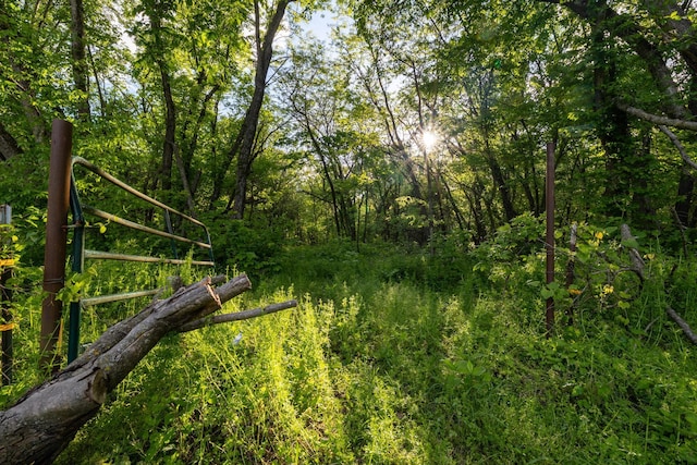 view of local wilderness with a wooded view