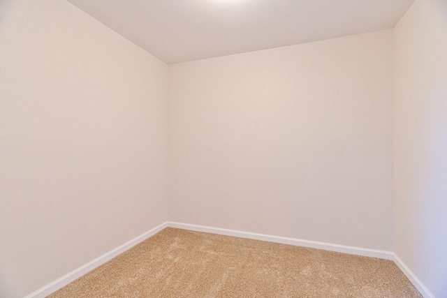 spare room featuring carpet floors