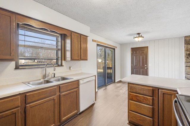 kitchen featuring dishwasher, light hardwood / wood-style flooring, a wealth of natural light, and sink