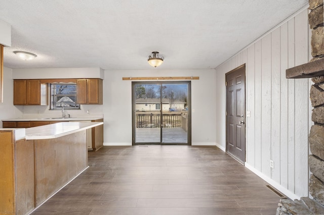 kitchen with a textured ceiling, sink, and dark hardwood / wood-style floors