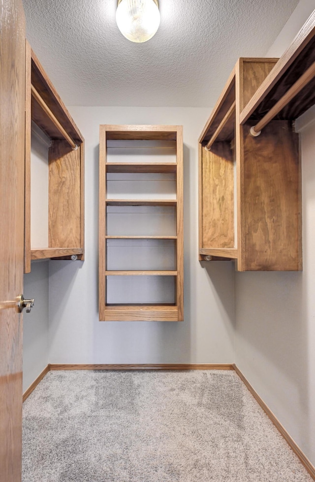 spacious closet with carpet