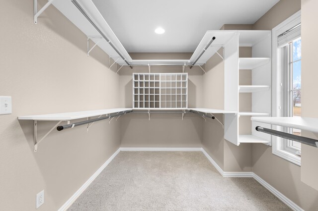 spacious closet with carpet floors