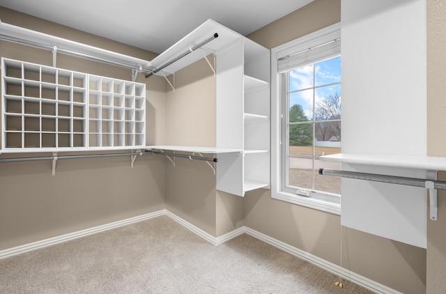 spacious closet with carpet flooring