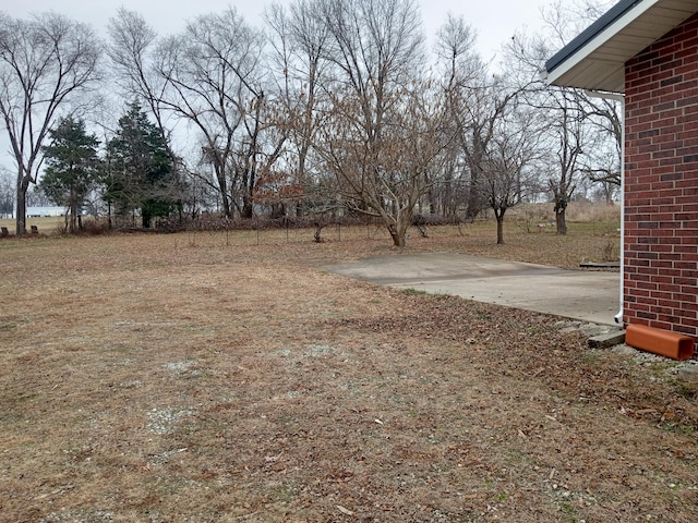 view of yard with a patio