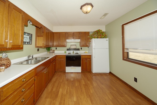 kitchen featuring light wood-type flooring, white appliances, and sink