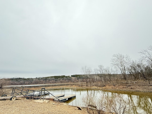 dock area with a water view