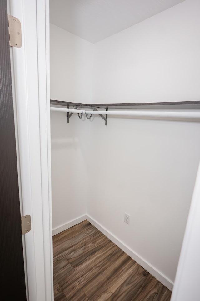 walk in closet with dark hardwood / wood-style floors