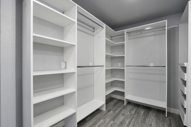 walk in closet with dark hardwood / wood-style floors