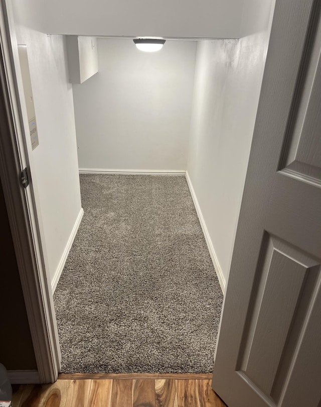 basement featuring carpet flooring