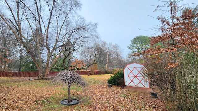 view of yard featuring a storage shed