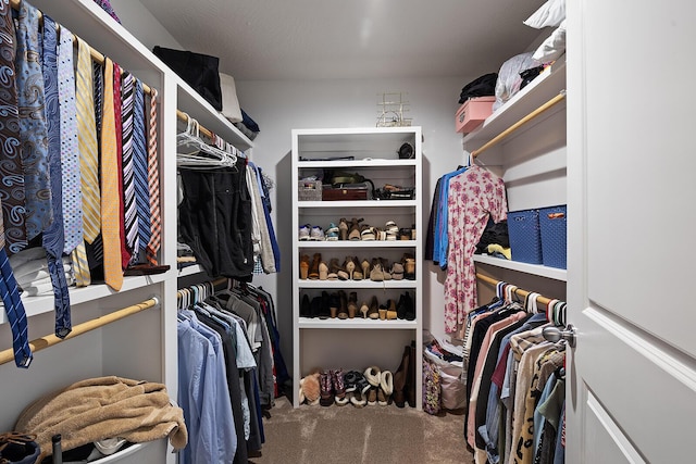 walk in closet featuring carpet floors