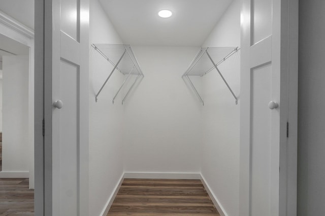 spacious closet featuring dark wood-type flooring