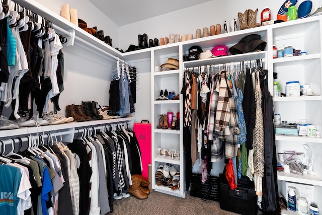 walk in closet with carpet floors