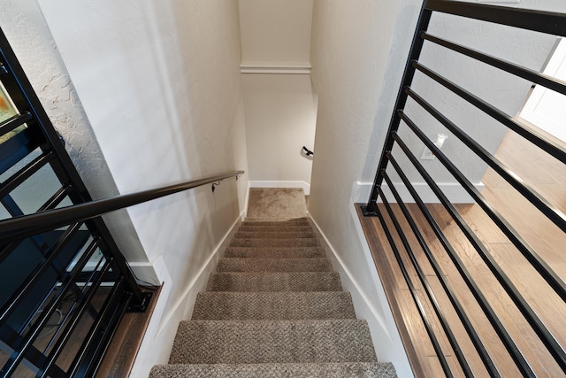 staircase featuring carpet