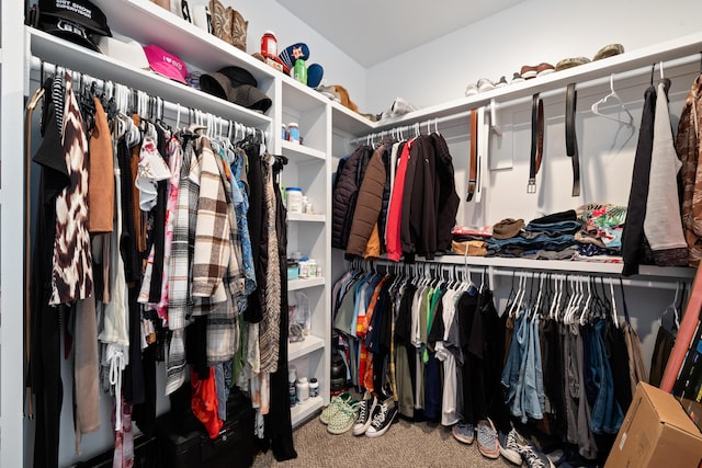 spacious closet with carpet floors