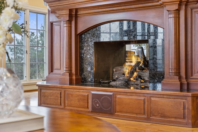 details with hardwood / wood-style floors, ornamental molding, and a premium fireplace