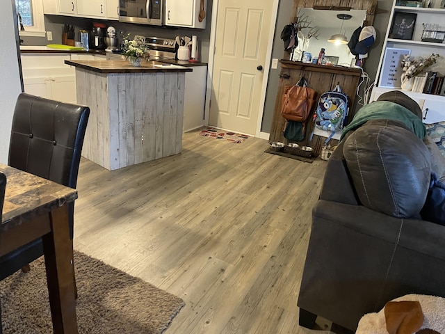 living room with light hardwood / wood-style flooring