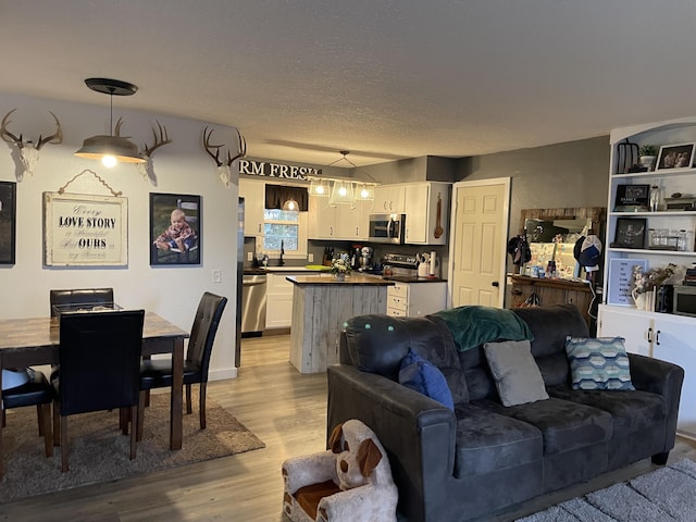 living room with sink, light hardwood / wood-style flooring, and a textured ceiling