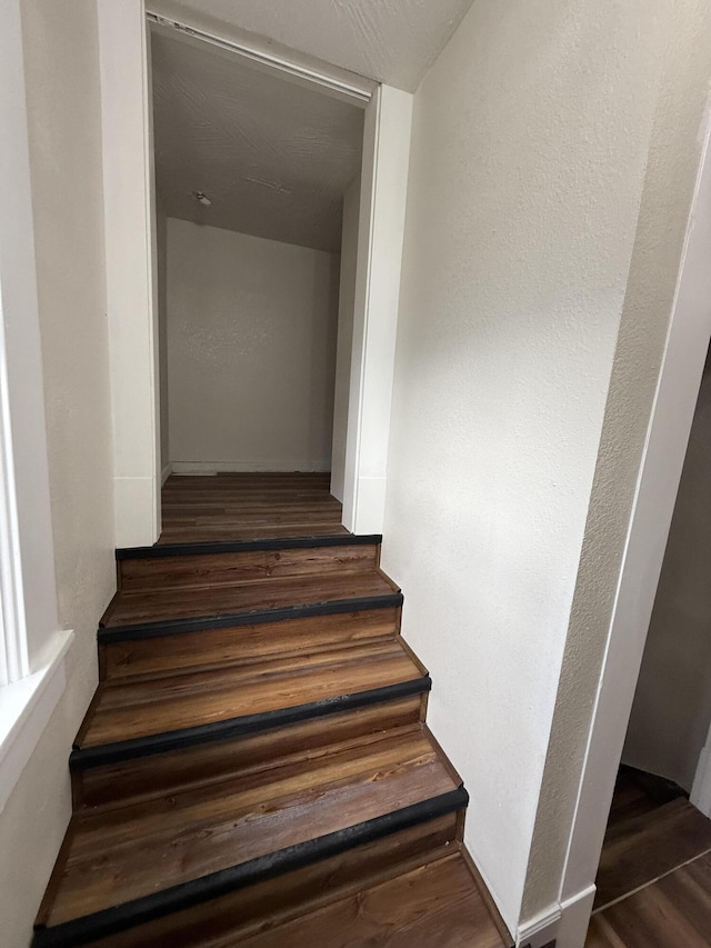 stairs with hardwood / wood-style flooring