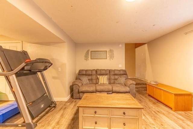 living room with light hardwood / wood-style flooring