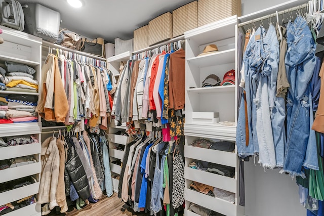 walk in closet with hardwood / wood-style flooring