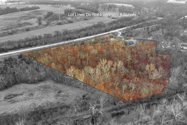 1369 E 398th Rd, Bolivar, MO 65613 - aerial view of sparsely populated area with property boundaries highlighted