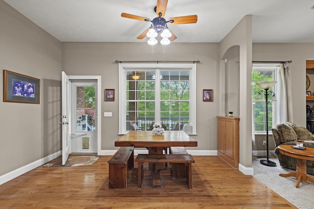 dining area with ceiling fan and light wood-type flooring